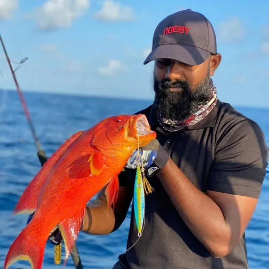 Live Shrimp with Jig 40g 60g 80g Tianya Hook 