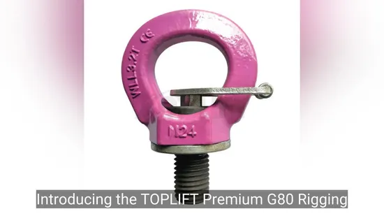 Toplift Premium G80 Rigging Hardware 8mm to 30mm Lifting Point 