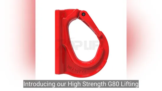 High Strength G80 Lifting Point Rigging Hardware for Safe Heavy Lifting Operations 